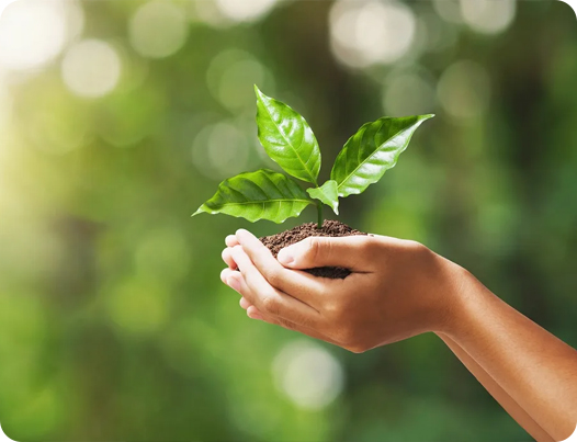 Produtos médicos Co. de Jiangsu Dingshun, Ltd.